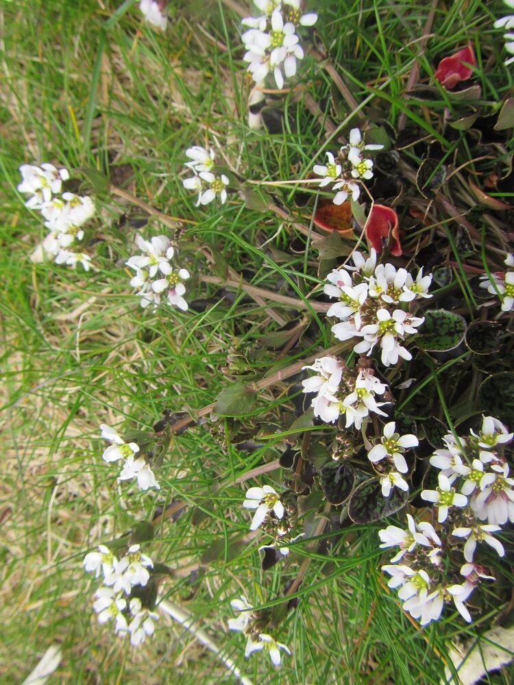 getting close to nature at little Stars