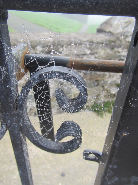 spider web playschool moville co donegal